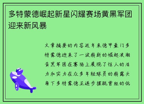 多特蒙德崛起新星闪耀赛场黄黑军团迎来新风暴